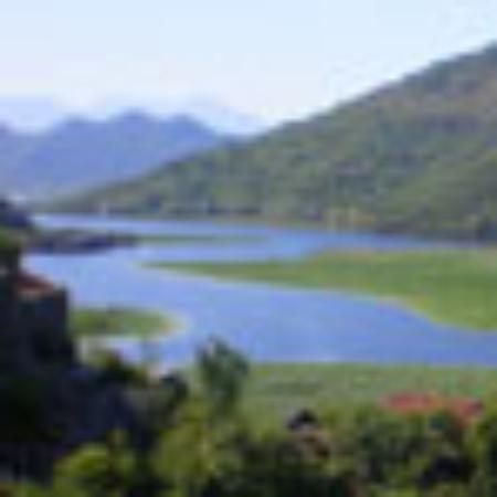 El Toro Pizzeria & Italian Fd